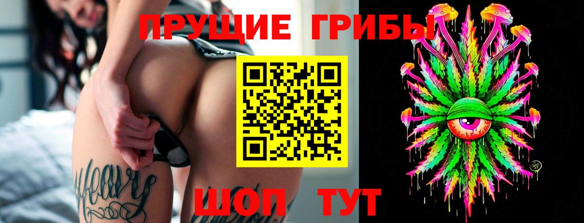 Псилоцибиновые грибы GOLDEN TEACHER  Вход с VPN  Ярославль 